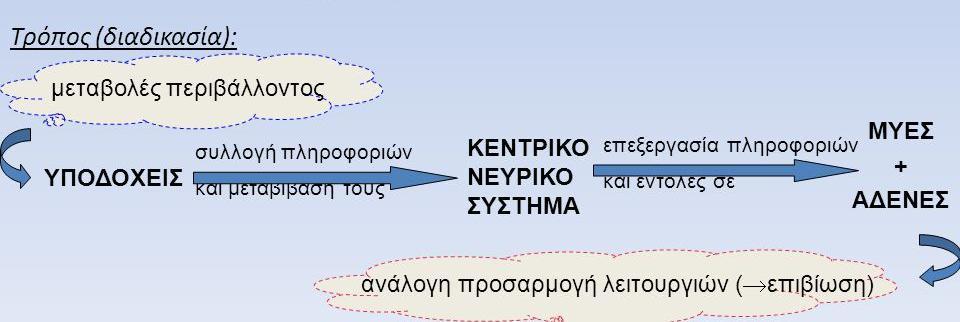 του οργανισμού να διατηρεί