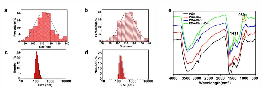 and Zeta potential separately for PDA-Rhod (a, b, c, d). Figure S4.