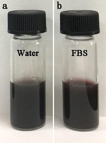Figure S5. Dispersity and stability of PDA-Rhod-Dox in aqueous solution (a) and FBS solution (b) after 14 days. Figure S6.