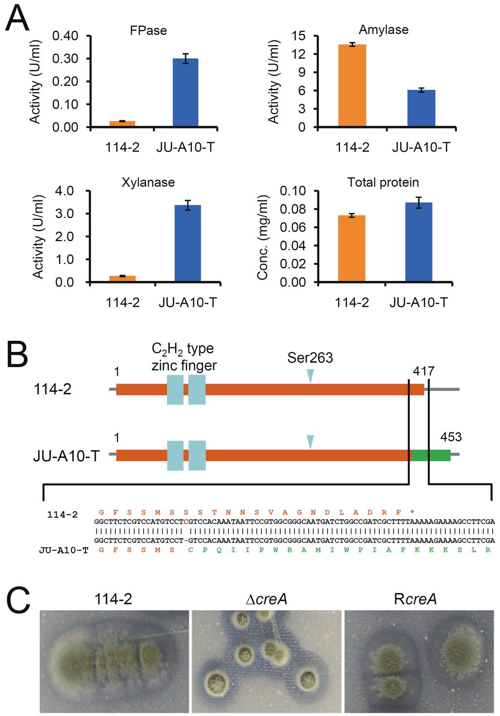 Figure S4. Carbon catabolite repression-resistant expression of lignocellulolytic enzymes in P. decumbens.