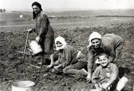 ΓΕΩΡΓΙΑ: ΒΑΣΙΚΗ ΠΗΓΗ ΠΛΟΥΤΟΥ ΚΑΙ Η ΕΞΕΛΙΞΗ ΤΗΣ.