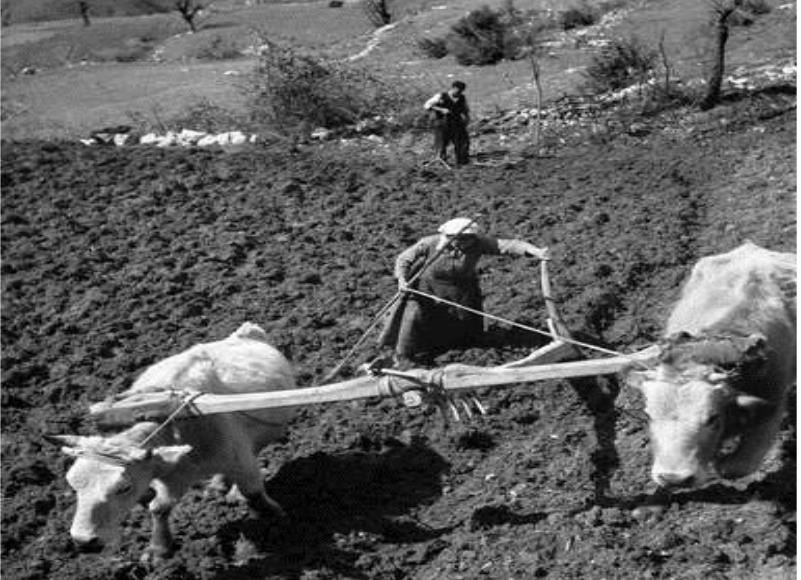 αυτούς που εμπιστεύονταν τα πάντα σε κάποιο διαχειριστή και αρκούνταν στα κέρδη από τα κτήματά τους ζώντας σε κάποια πόλη.
