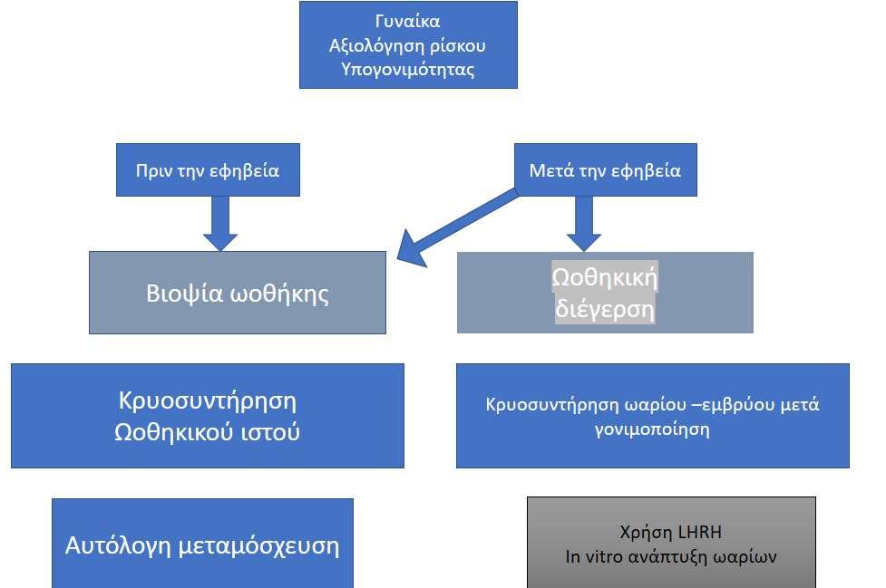 Ντεμιστήρ (Demeestere) που δημοσιεύτηκε το 2016 σε άτομα με λέμφωμα. Οι ασθενείς έλαβαν είτε νορεθιστερόνη (norethisterone) μαζί με τριπτορελίνη ή μόνο νορεθιστερόνη.