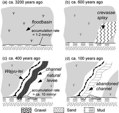 ,*+, 99 ** AP+ /o c +/30 +0+/ +31/ AP+ /od ** +32+ +, +- 3** 2** cal BP,**0 + AB /,5/** cal BP Fig / Schematic diagrams showing the evolution +5,** cal BP of landform and sedimentary sequences