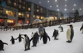 ΧΙΟΝΟ ΡΟΜΙΚΟ ΚΕΝΤΡΟ EMIRATES MALL DUBAI OPERA Στο φημισμένο εμπορικό κέντρο Emirates Mall κατασκευάστηκε το πρώτο κλειστό χιονοδρομικό