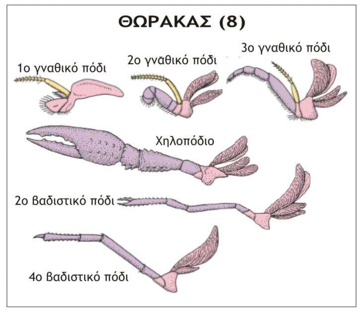 ΕΙΣΑΓΩΓΗ ΕΡΓΑΣΤΗΡΙΑ ΣΤΗ ΣΤΟ