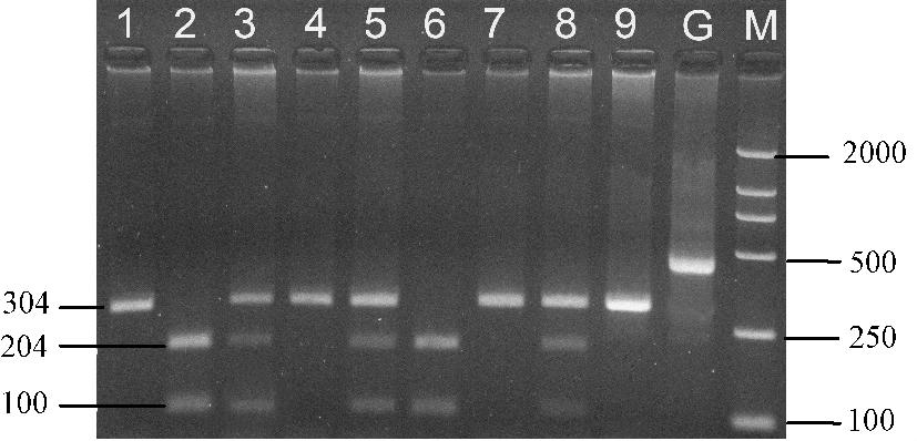 4 45 Table 1 n 1 / The assayed results of biochemical variables between overweignt / obesity and control groups TG / TC / HDL-C / LDL-C / FBG / FFA / μmol /L Ins / mu /L HOMA-IR 100 0. 74 ±0. 22 4.