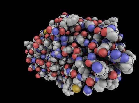 PyMOL Λήψη νεότερης έκδοσης (v 2.