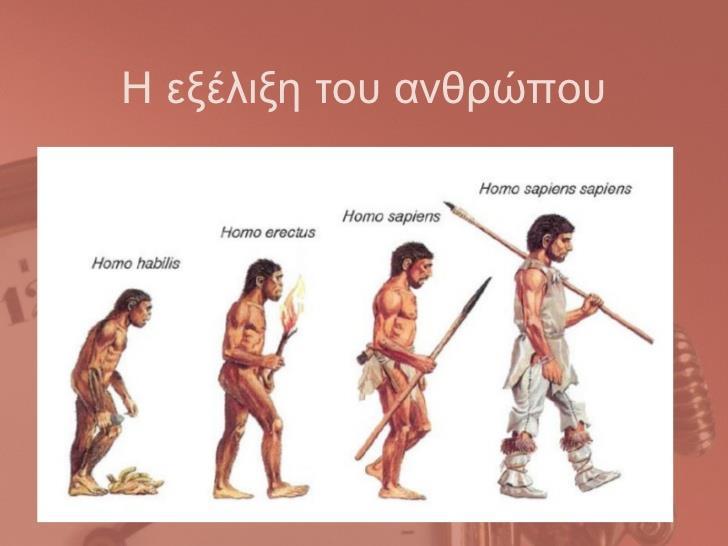 Πριν από περίπου 2.500.000 χρόνια εμφανίζονται στην Αφρική οι πρώτοι άνθρωποι. Οι επιστήμονες ονόμασαν αυτό τον τύπο ανθρώπου «Ικανό άνθρωπο homo habilis».