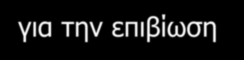 Εμπειρία Πολύς λόγος για την Αρετή.