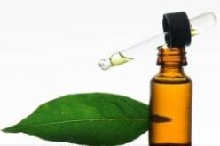 Μια σταγόνα νερού πέφτει στην επιφάνεια ενός φύλλου!