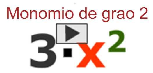 imaxe a expresión alxébrica correspondente e a súa clasificación: x t Monomio 2 variables