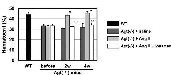 Fig 3.