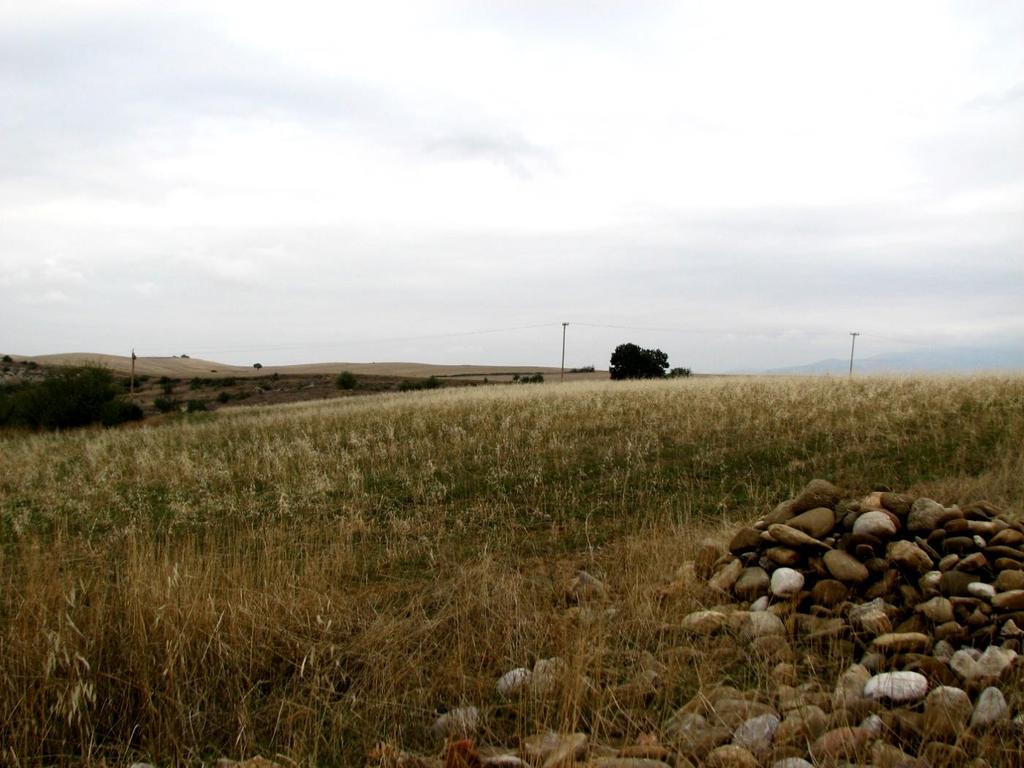 Κλασική Αρχαιολογία Φυσικό Περιβάλλον