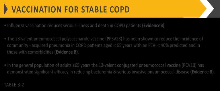 Vaccination Influenza vaccination can reduce serious illness (such as lower respiratory tract infections requiring hospitalization) and death in COPD