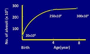 Ανάπτυξη αναπνευστικού Οι κυψελίδες αυξάνονται x10 από την νεογνική ηλικία έως τα 4 χρόνια (αναπτύσσονται πλήρως στα 8 έτη) Για το λόγο αυτό η σκολίωση πρακτικά