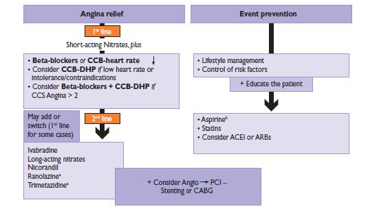 Medical management of CAD IA