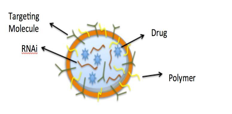 Νανοσωματίδια πολυμερών Είναι πολυμερή νανοσωματίδια (PNPs) που μεταφέρουν γονίδια ή θεραπευτικές πρωτεΐνες συμπεριλαμβανομένων