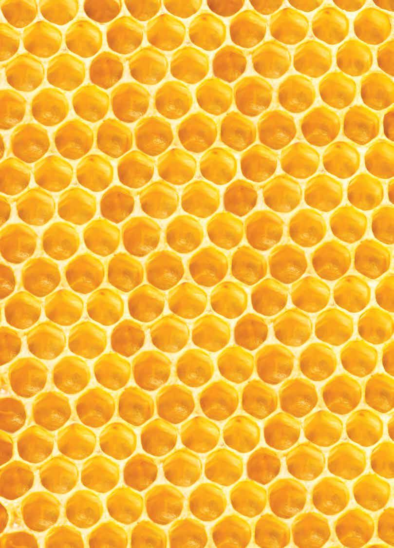 Η εταιρεία «BeeNectar» - Μελισσοκομικό Κτηνιατρικό Κέντρο, εδρεύει στο Άργος, στο 3 ο χλμ εθνικής οδού Άργους - Κορίνθου, και ιδρύθηκε από τον κ.