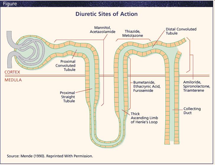 Φουροσεμίδη(Lasix): Εμποδίζει την επαναρρόφηση Na+