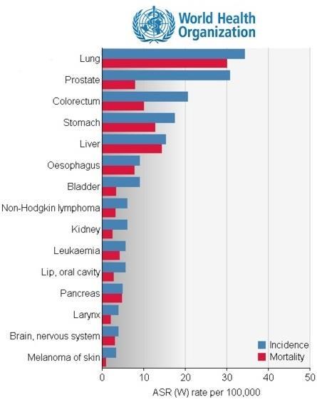 Estimated age-standardized incidence