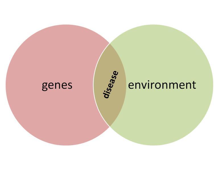 Αιτιοπαθογένεια πολυπαραγοντική νόσος αποτέλεσμα αλληλεπίδρασης ποικίλων γενετικών και περιβαλλοντικών
