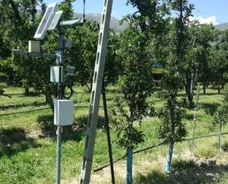 Evaluation of a telemetric application and electronic insect trap. Tachopoulos, N 1. and A.