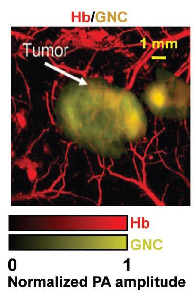 Stein et al., Proc. SPIE 6856, (2008) Kim et al.