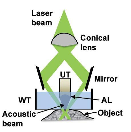 Let. 35(19), (2010) Zhang et al., Nat. Biot.