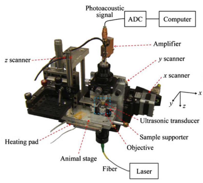 OR PAM Optical Resolution 1 ης γενιάς OR