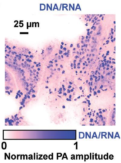 Yao et al., Opt. Lett. 35(24), (2010) Zhang. et al., Opt. Lett. 35(19), (2010) Jiao et.