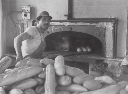 36 Του κόσμου το ψωμί ΓΛΩΣΣΑ Γ ΔΗΜΟΤΙΚΟΥ Από τον σπόρο στο ψωμί 12 Αρίθμησε τις εργασίες με τη σειρά που γίνονται. Στη συνέχεια ταίριαξε τις δουλειές με τα ρήματα της παρένθεσης.