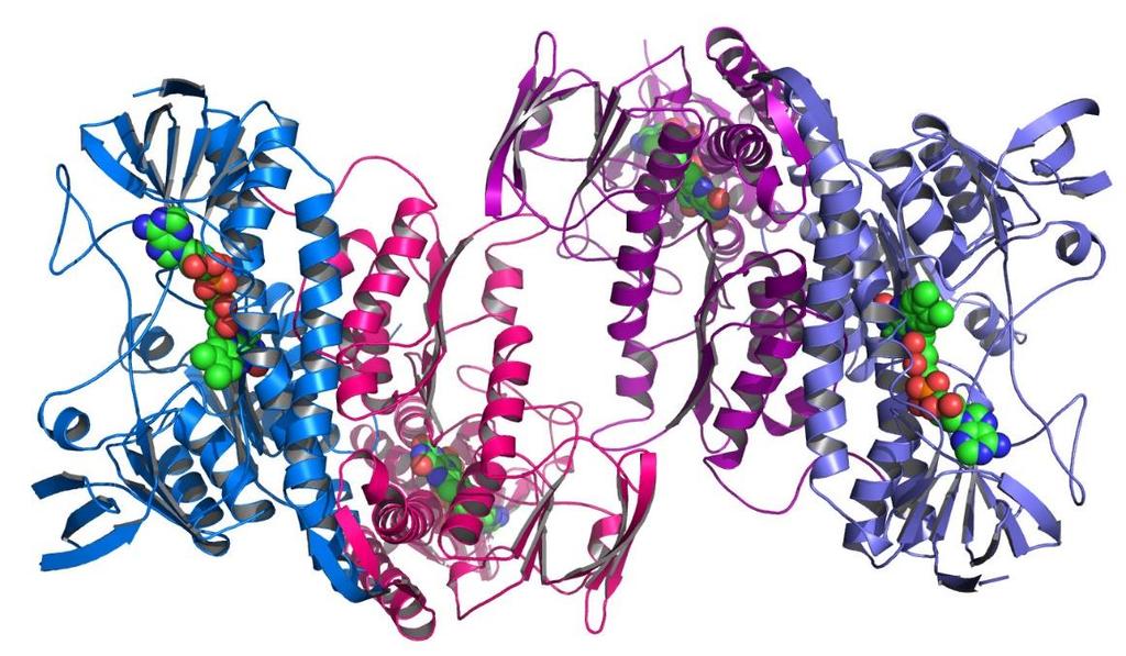 com including which two additional proteins you are interested in receiving and BioAspect will put the order together.