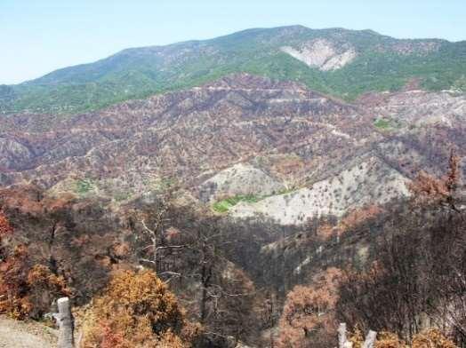 ΔΑΣΙΚΕΣ ΠΥΡΚΑΓΙΕΣ ΚΥΡΙΕΣ ΕΠΙΔΡΑΣΕΙΣ ΚΛΙΜΑΤΙΚΗΣ ΑΛΛΑΓΗΣ ΣΤΙΣ ΔΑΣΙΚΕΣ ΠΥΡΚΑΓΙΕΣ ΣΤΗΝ ΚΥΠΡΟ ΠΙΟ ΣΥΧΝΕΣ ΠΥΡΚΑΓΙΕΣ ΠΙΟ ΜΕΓΑΛΗΣ ΕΝΤΑΣΗΣ ΠΥΡΚΑΓΙΕΣ