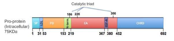 PCSK9