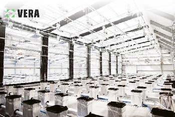 : 210 6895260 - Fax: 210 6801672 email: info@hellamco.