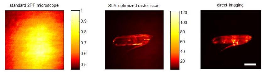 Light Modulator (SLM) Προς την κατεύθυνση διατάξεων υψηλής