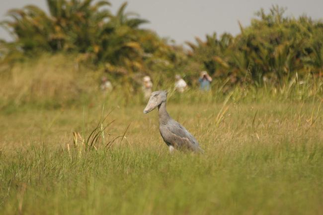 Botswana