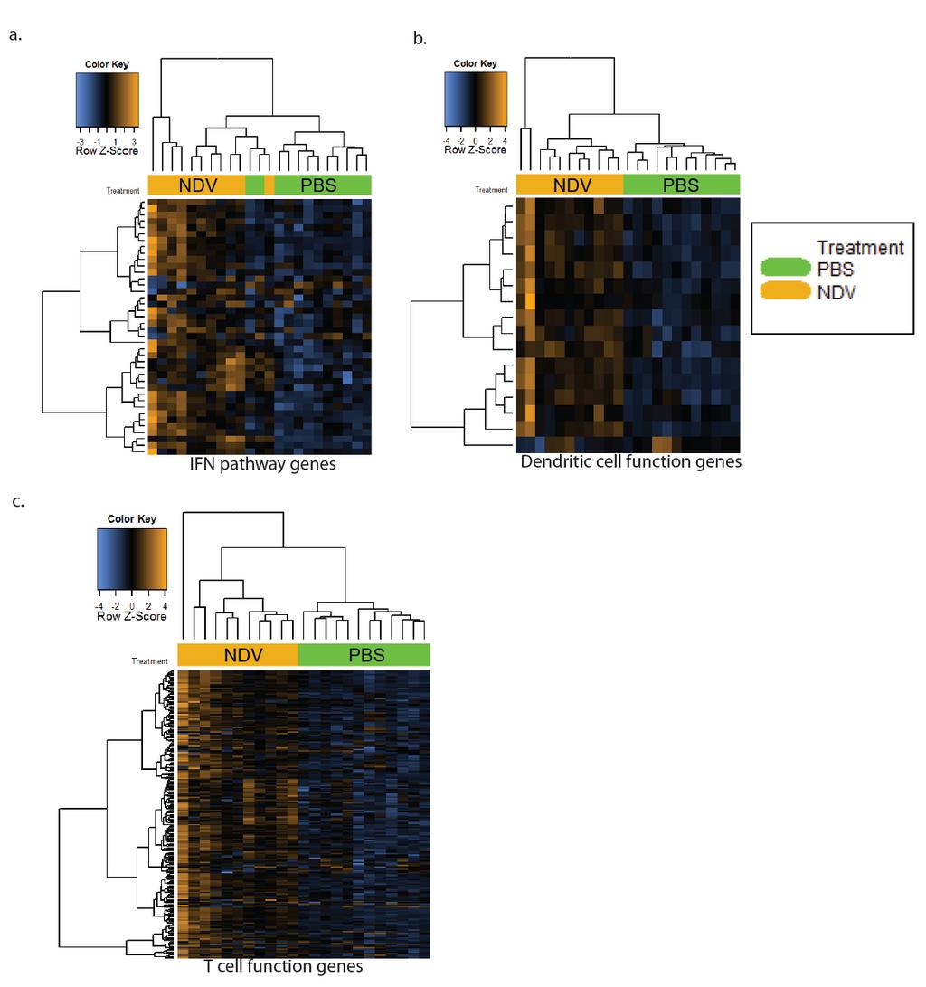 Supplementary Figure 2. Upregulation of immune-related genes in response to NDV.