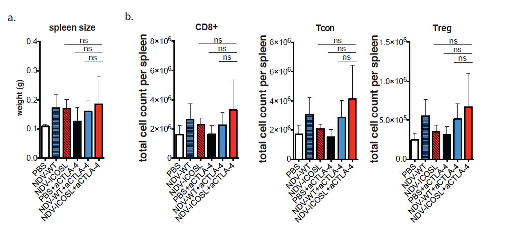 Supplementary Figure 9. Composition of splenic T cell populations. Animals were treated according to the schedule in Figure 4b and spleens were collected on day 15.