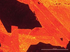 dotted lines), of which some interested by shearing and quartz