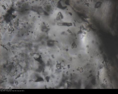 shear veins showing aqueous inclusion (white), gaseous CH4 inclusions