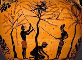 Graikai paprastai valgydavo tris ar keturis kartus per dieną. Pusryčius (κρατισμός akratismos) sudarydavo į vyną mirkoma miežinė duona (ακρατος akratos), kartais užkandama figomis ir alyvuogėmis.