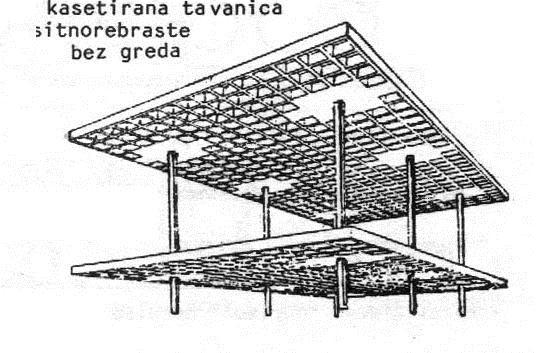 Sitnorebraste tavanice