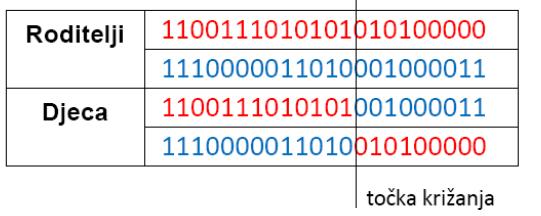 Genetski operatori Najpoznatije izvedbe križanja za jednostavni prikaz rješenja binarnim brojevima: 1. Križanje u jednoj točki (one point crossover).