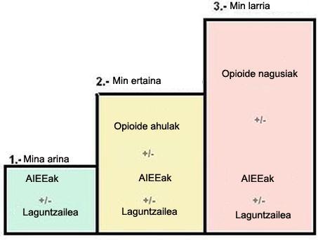 Hauek dira minaren tratamenduan erabiltzen diren talde farmakologikoak: - Ohiko analgesikoak: