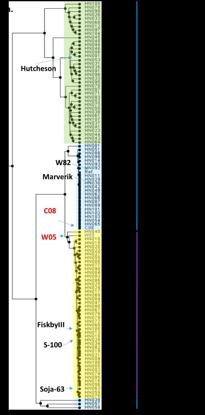 Supplementary Figure 12a-b. Gene Structure variation in 106 lines. a.