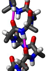 Proteine - structură B.