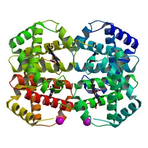 Proteine - structură D.