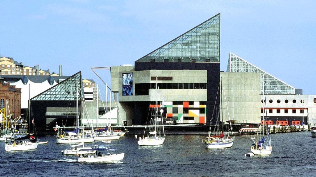 The National Aquarium delivers meaningful experiences through its living collection of more than